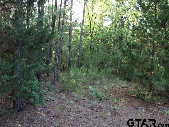 5th image of 14178 County Road 1113
