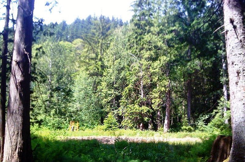 View from building site