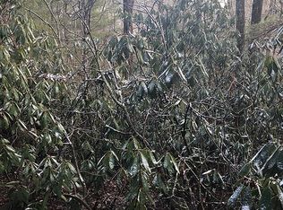 9999 Old Fort Rd #3, Fairview, NC 28730