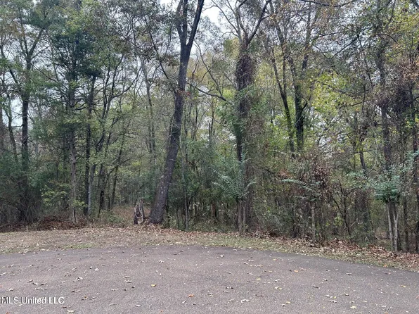 Westminster Ct, Madison, MS 39110