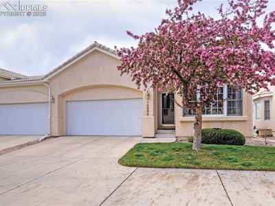 14384 Secret Glen Grv, Colorado Springs, CO, 80921