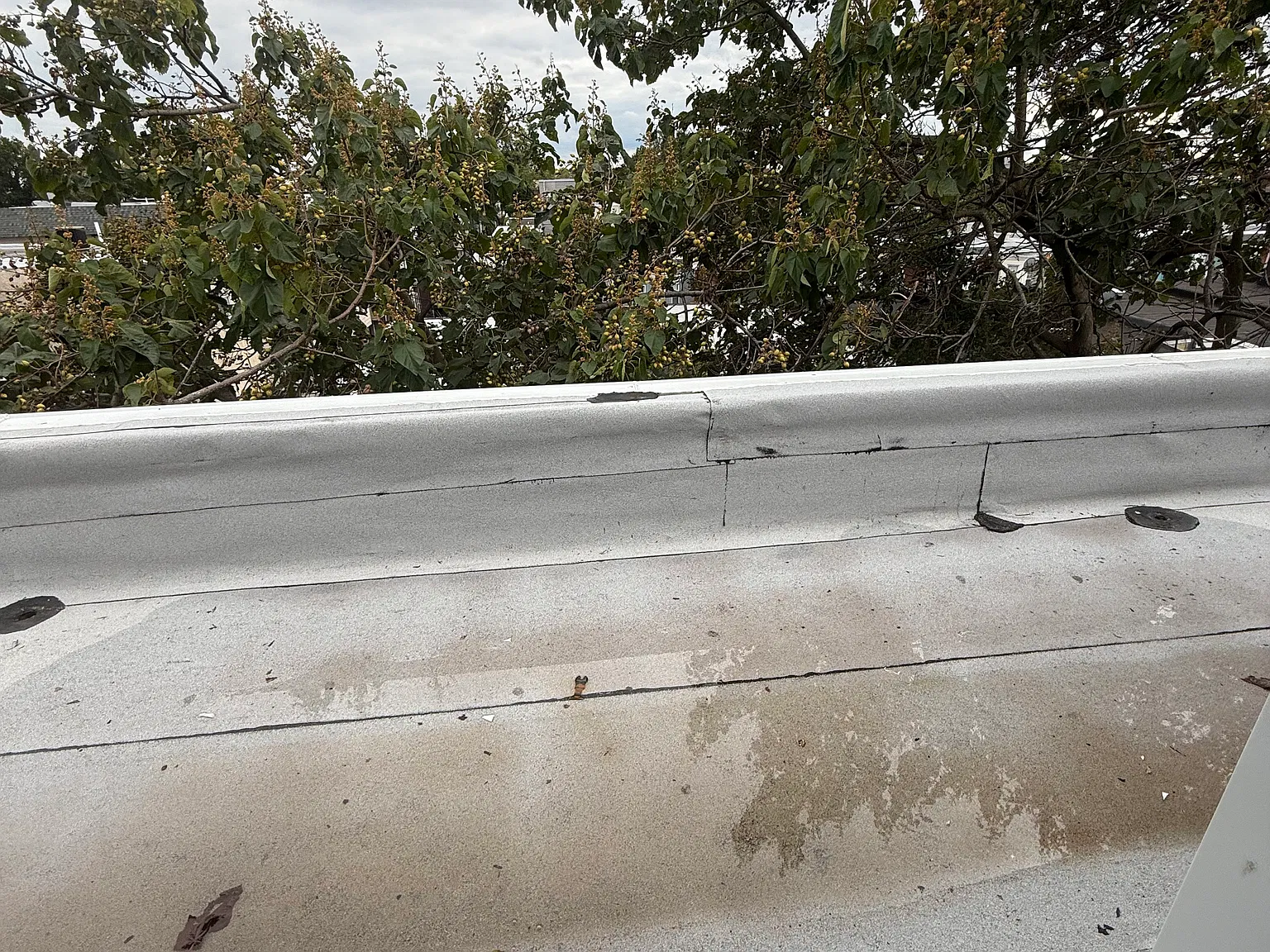 3 bed, 1000 sqft, $1,500 — Photo 2