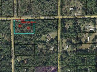 6547 Walnut Ave, Bunnell, FL 32110