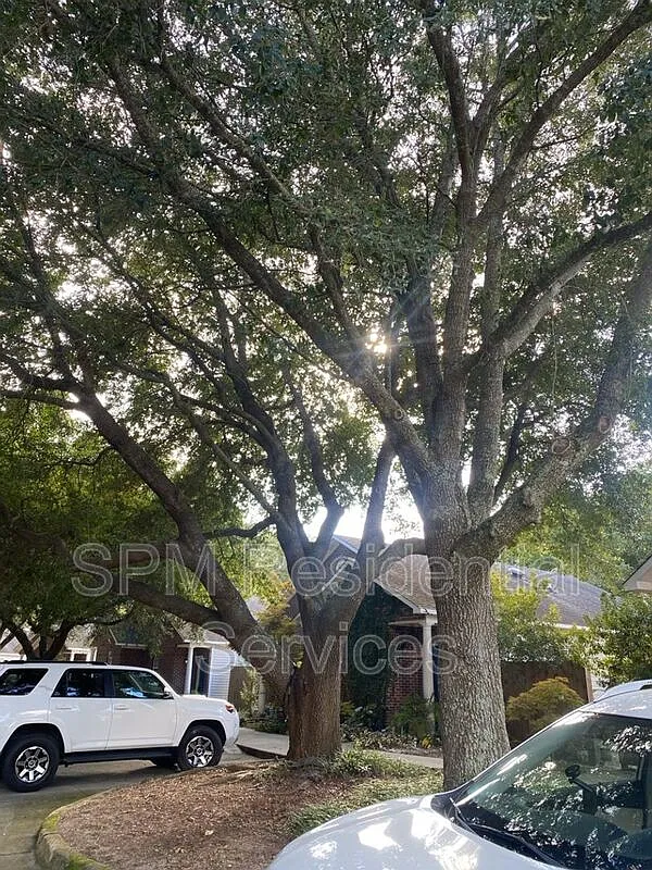1 bed, 1.0 bath, 800 sqft, $1,195 — Photo 2
