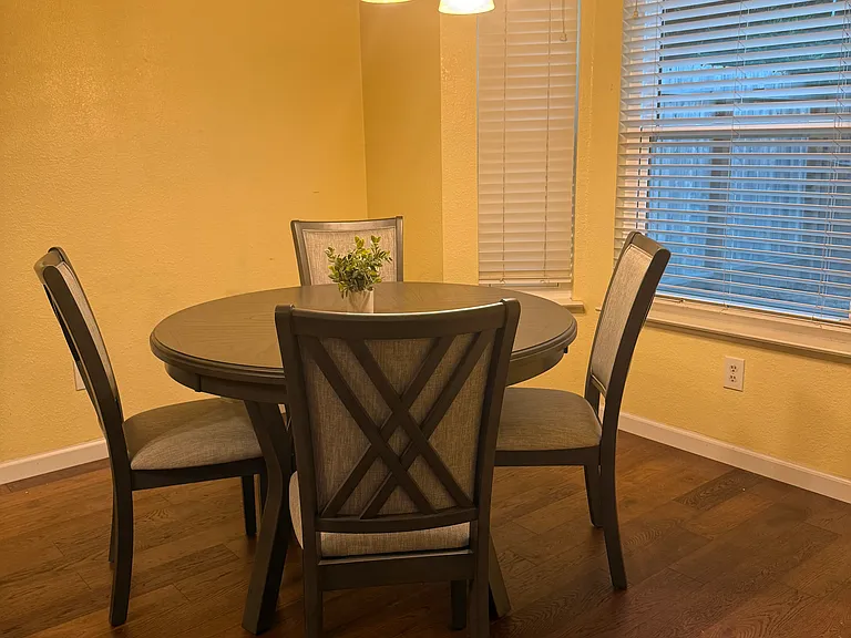 5161 Thomasino Way — Photo 17