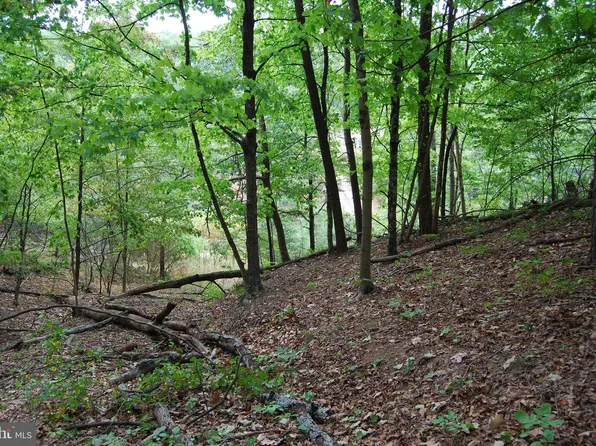 Old Winchester Grade Rd, Berkeley Springs, WV 25411