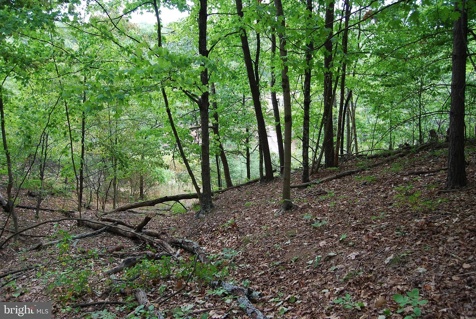 Old Winchester Grade Rd photo 1