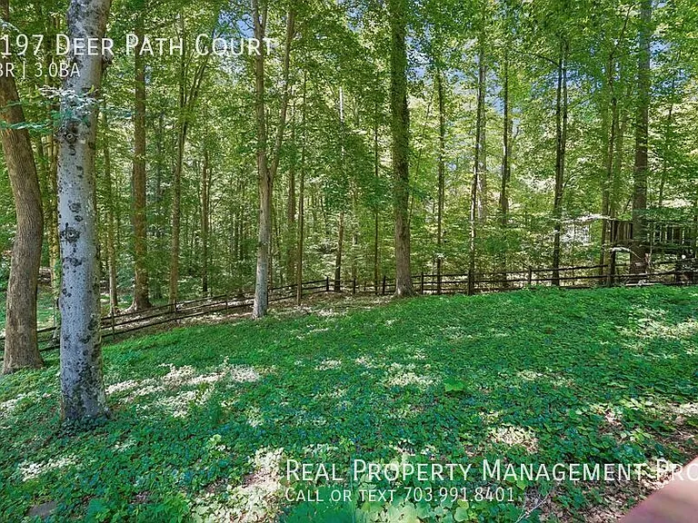 6197 Deer Path Ct — Photo 5