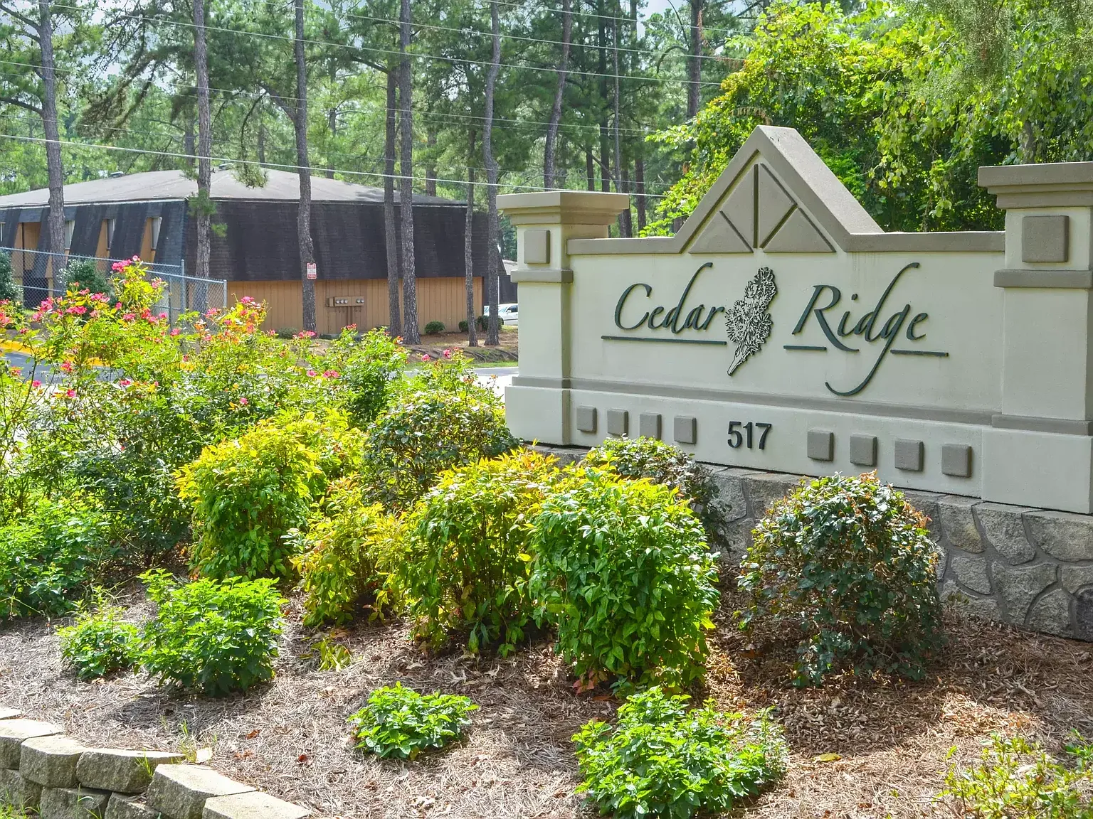Cedar Ridge — Photo 1