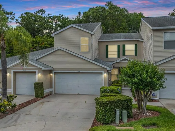 3205 Audubon Ct, Tarpon Springs, FL 34688