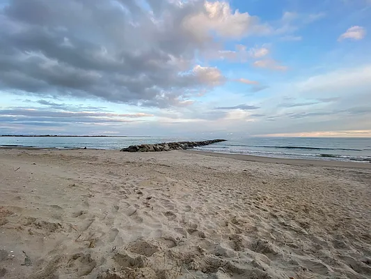 Rented by Prime Homes Management | media 28