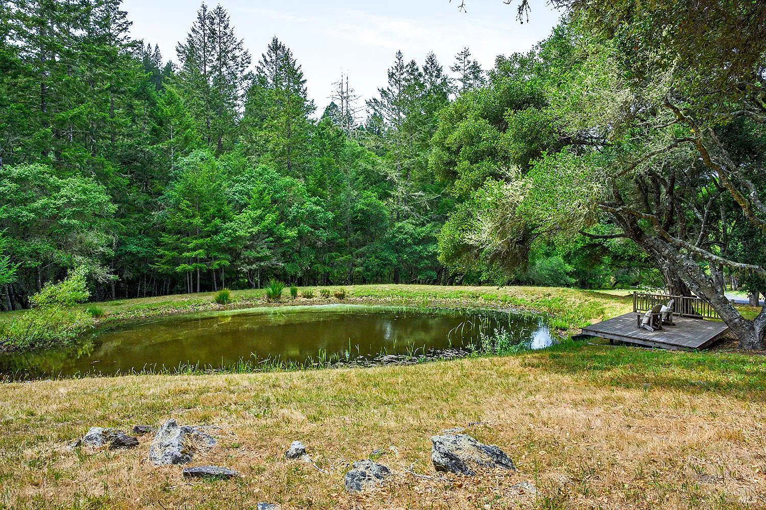 2585 Marra Road - Photo 4