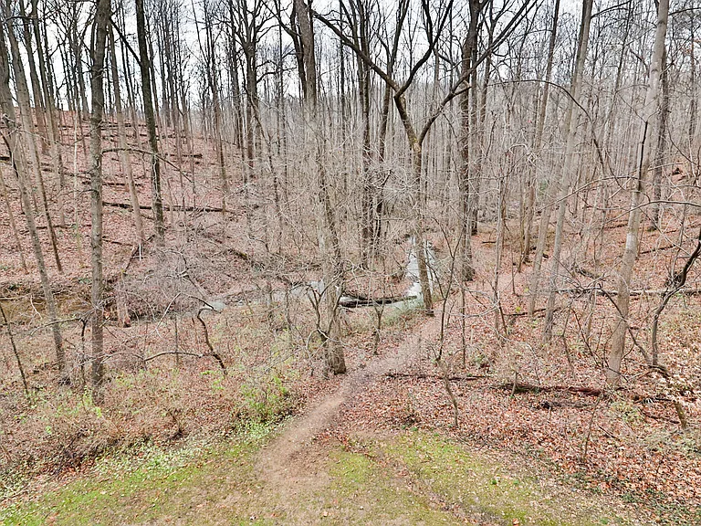 10488 Parthenon Ct #1 — Photo 45