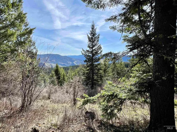 Tbd Cove Rd, Grangeville, ID 83530