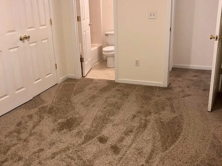 100 Water Oak Ln — Photo 18