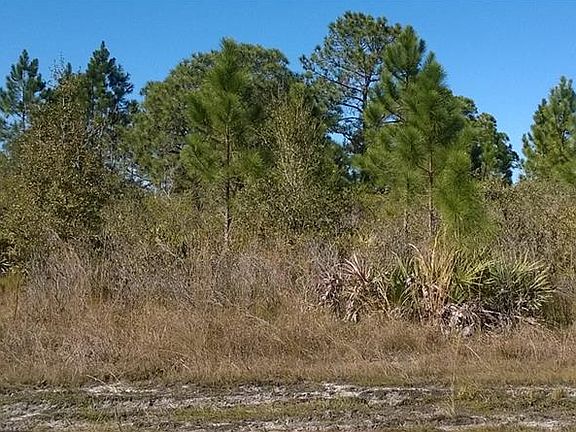 4th image of Ocala Dr