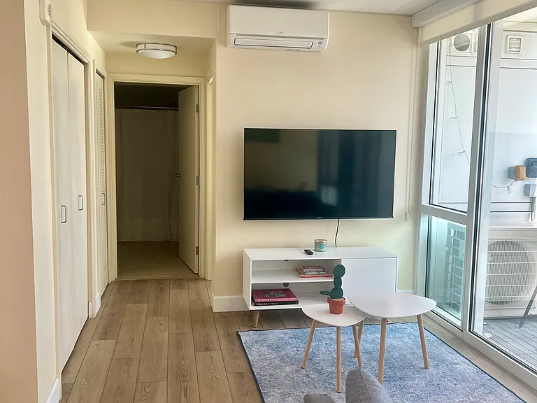 Split AC living room, with large storage closet to the left