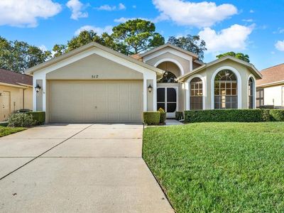517 Bent Oak Ct, Spring Hill, FL, 34609