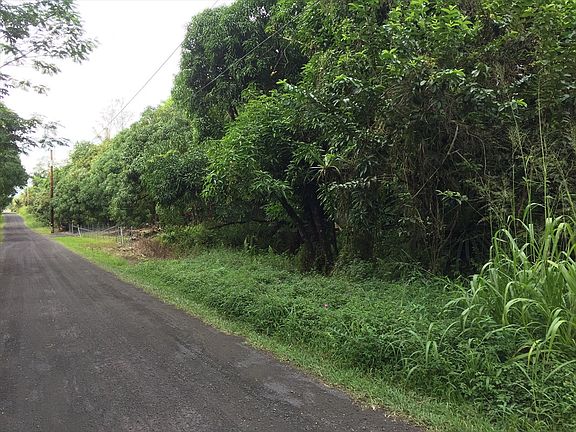 3rd image of 14th Avenue Laamia Lot 495