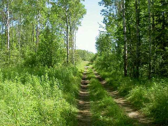 2nd image of XXX County Rd 15