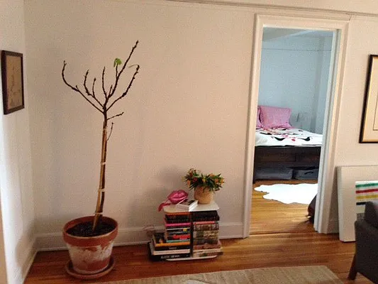 Rented by PD Properties LLC | media 9