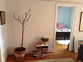 Rented by PD Properties LLC