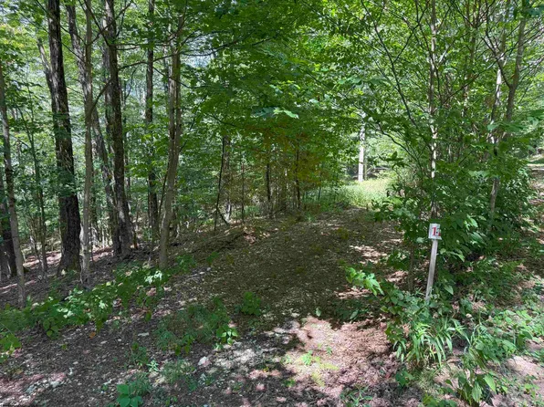 LOT 11 Kumbrabow Rd, Huttonsville, WV 26273
