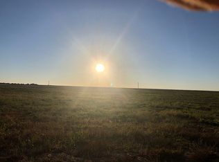 2317 Elko Rd LOT 15, Elko, GA 31025