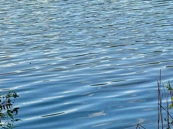 5th image of 9535 Catfish Trl #6A
