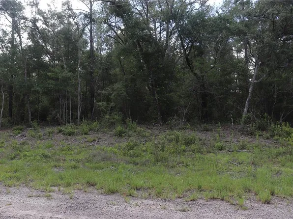 653 E Vercelli Ln Lot 9, Dunnellon, FL 34434