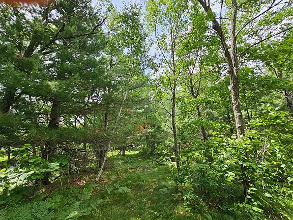 5th image of LOT 2 Gaslyn Rd