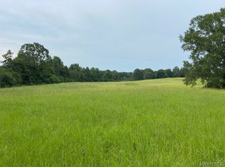 Tallassee Hwy, Eclectic, AL 36024