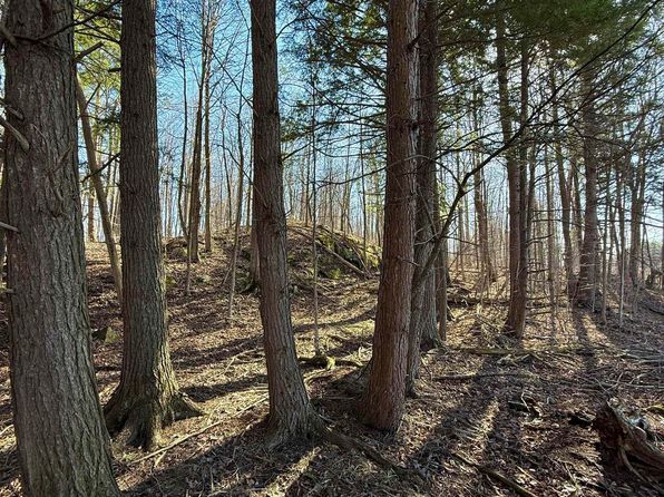 0 Us Route 11, Richville, NY 13681