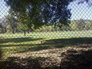 Golf Course from the House