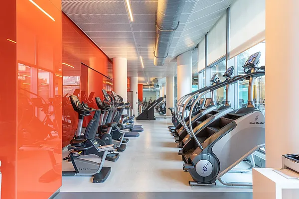 Rented by Platinum Properties | media 65