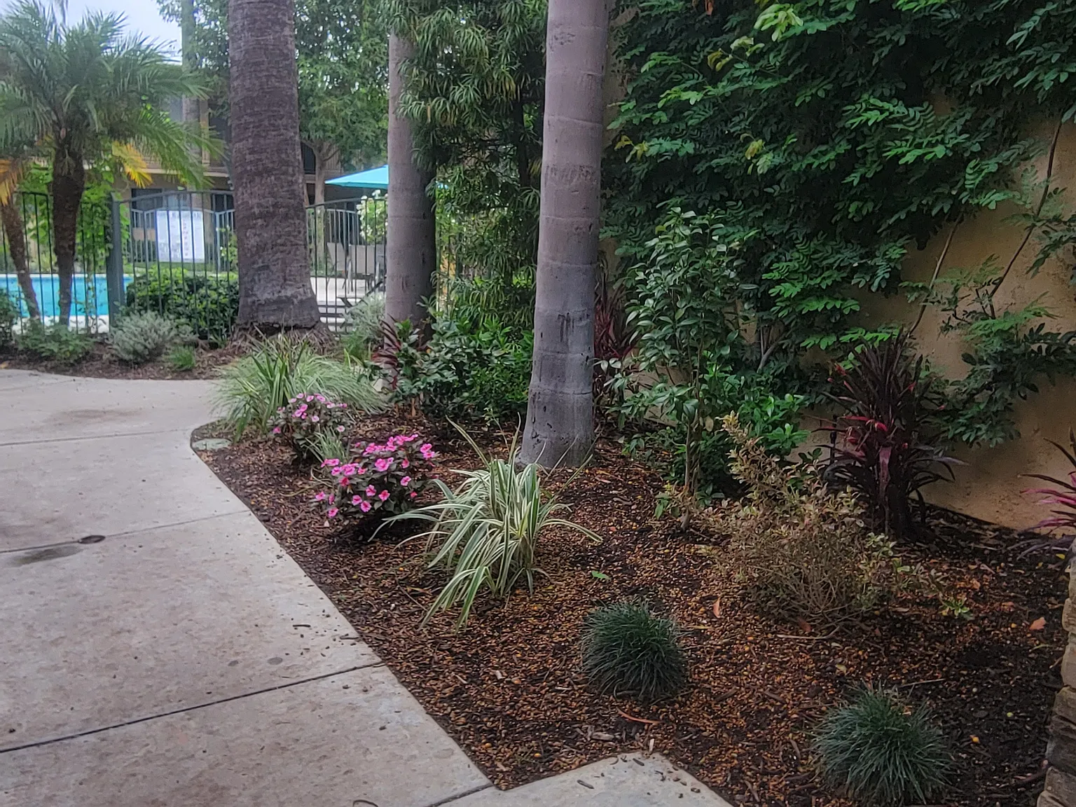Palm Court Apartments — Photo 3