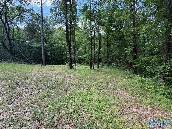 5th image of County Road 940