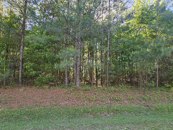 LOT 51 Eagle Nest Trl, Blounts Creek, NC 27814