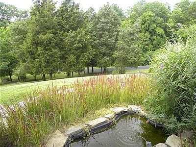 2nd image of 11502 Deer Trace Ln