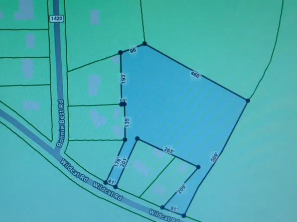 0 Wild Cat Road, Williamston, NC 27892