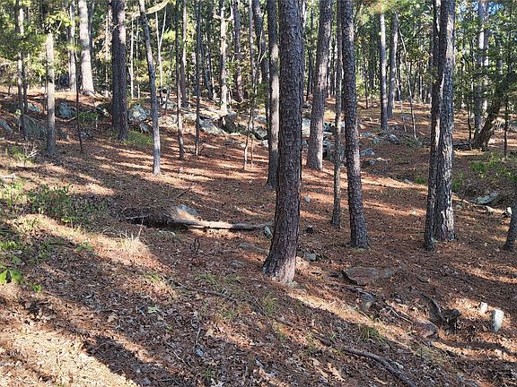 3rd image of Kimbrough Creek Rd