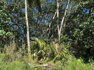 Hou St LOT 9, Pahoa, HI 96778