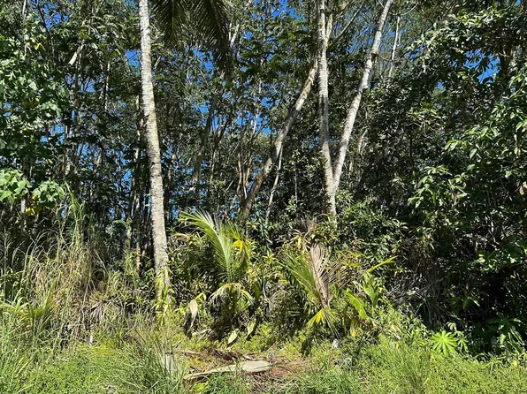 Hou St Lot 9, Pahoa, HI 96778