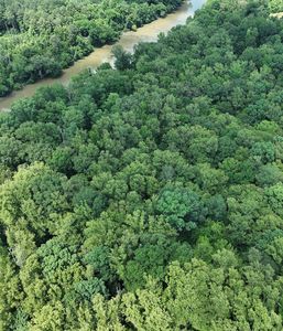 0 Old Cabin Rd, Cascade, VA, 24069