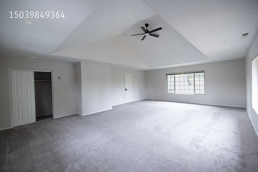 SwanNest 401 — Photo 4