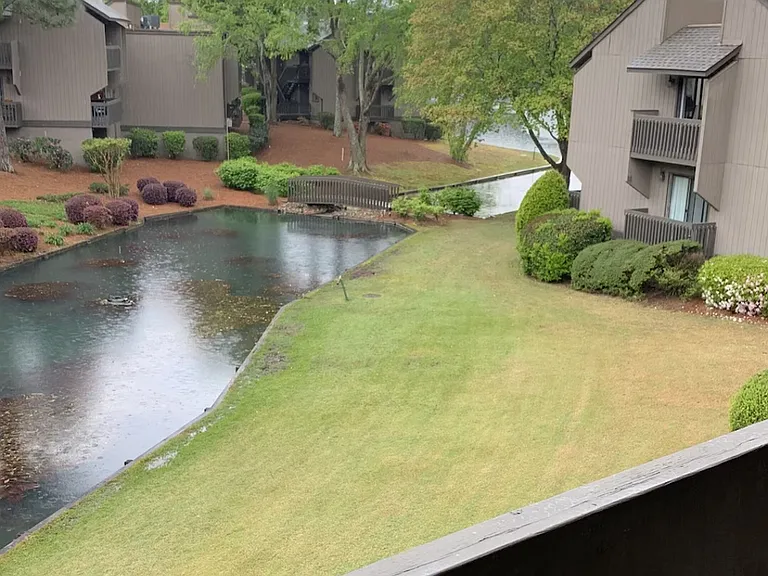 250 Sugar Gum Ln #229 — Photo 4