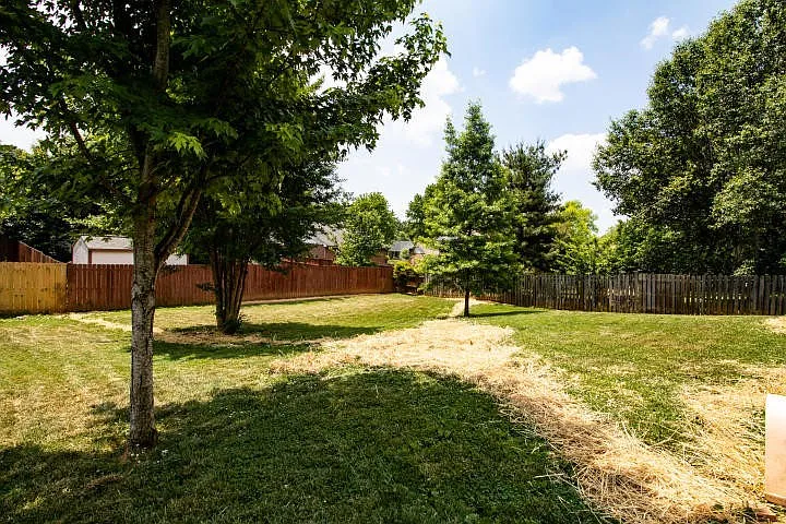 8816 Mill Run Dr — Photo 3