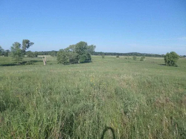 Ginkgo Ave, Wellman, IA 52356