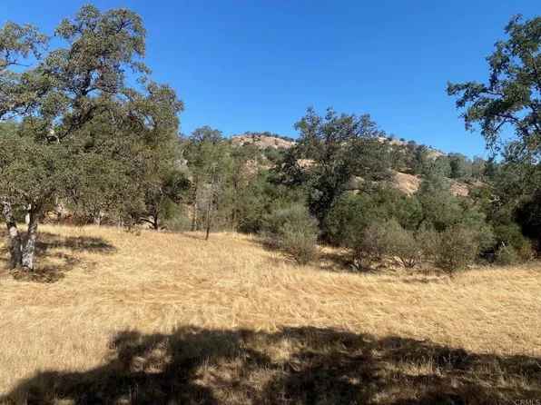 8 Tioga Dr, Coarsegold, CA 93614