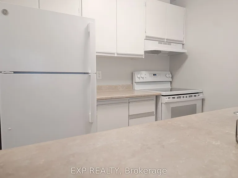 1320 Richmond Rd #217 — Photo 17